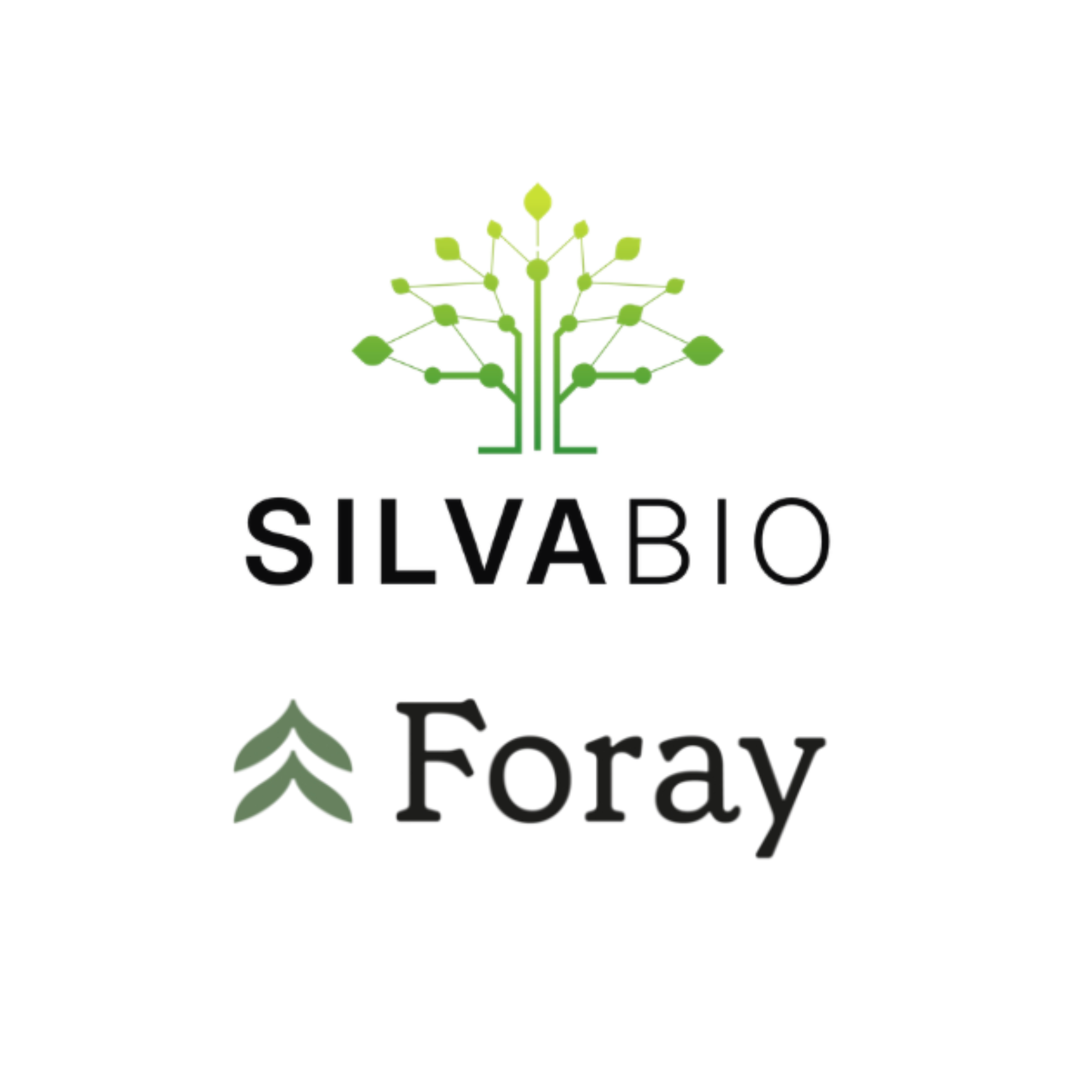 SilvaBio and Foray Bioscience Announce Collaboration to Accelerate Restoration of the American Chestnut