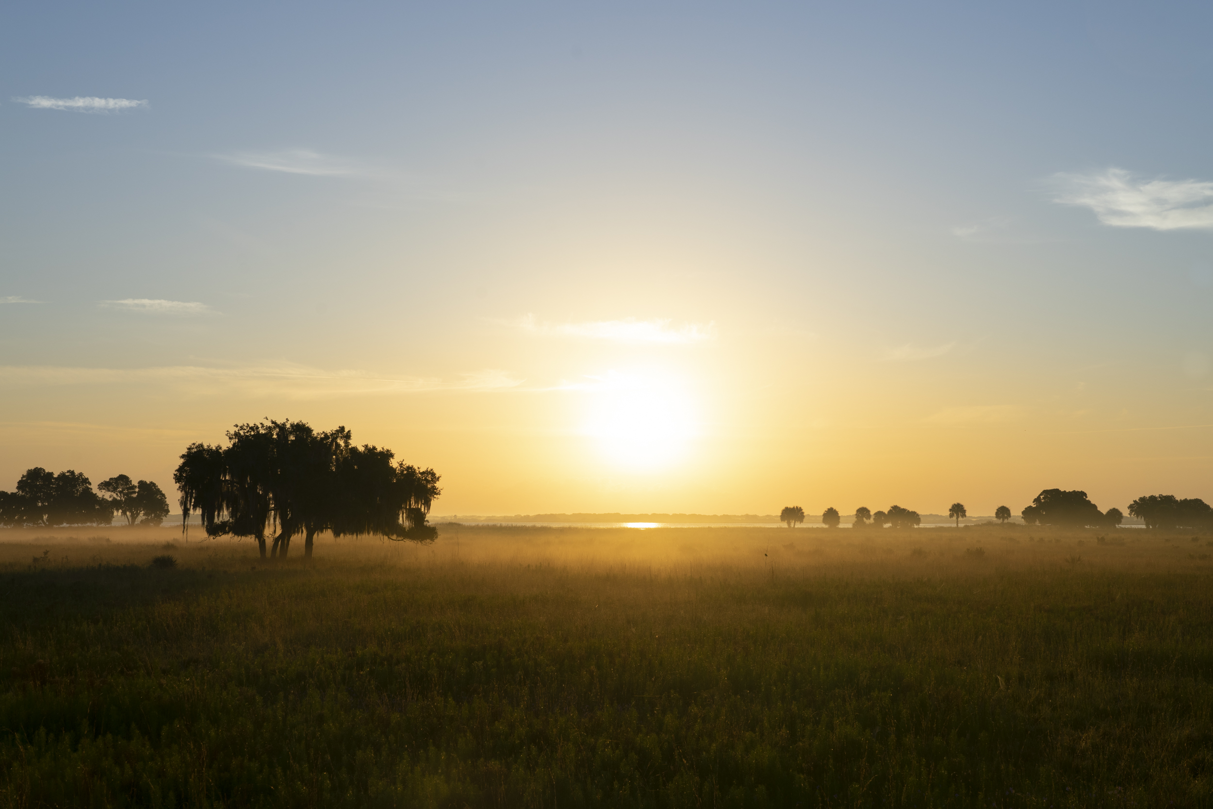 Florida's Wildlife Corridor Is Turning Five! Live Wildly Celebrates with a New Interactive Map Showing How Greater Conservation Inside the Corridor Can Bring Billions in Benefits 