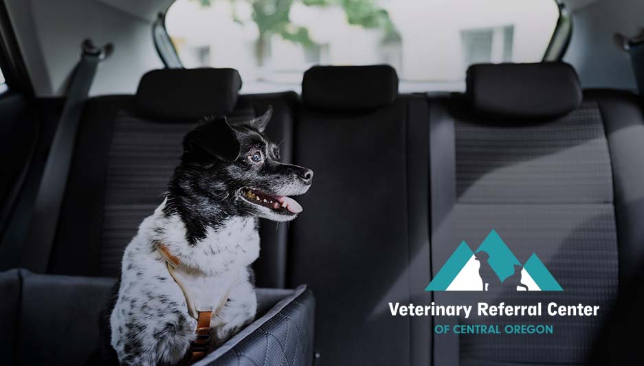 Veterinary Referral Center of Central Oregon Expands Access to Advanced Care with Enhanced Medical Travel Program