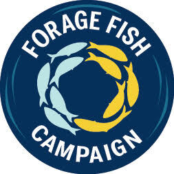 Forage Fish Campaign Launches "Where's the Bait?" Tour Across East Coast to Spotlight Coastal Businesses Impacted by Industrial Forage Fishing