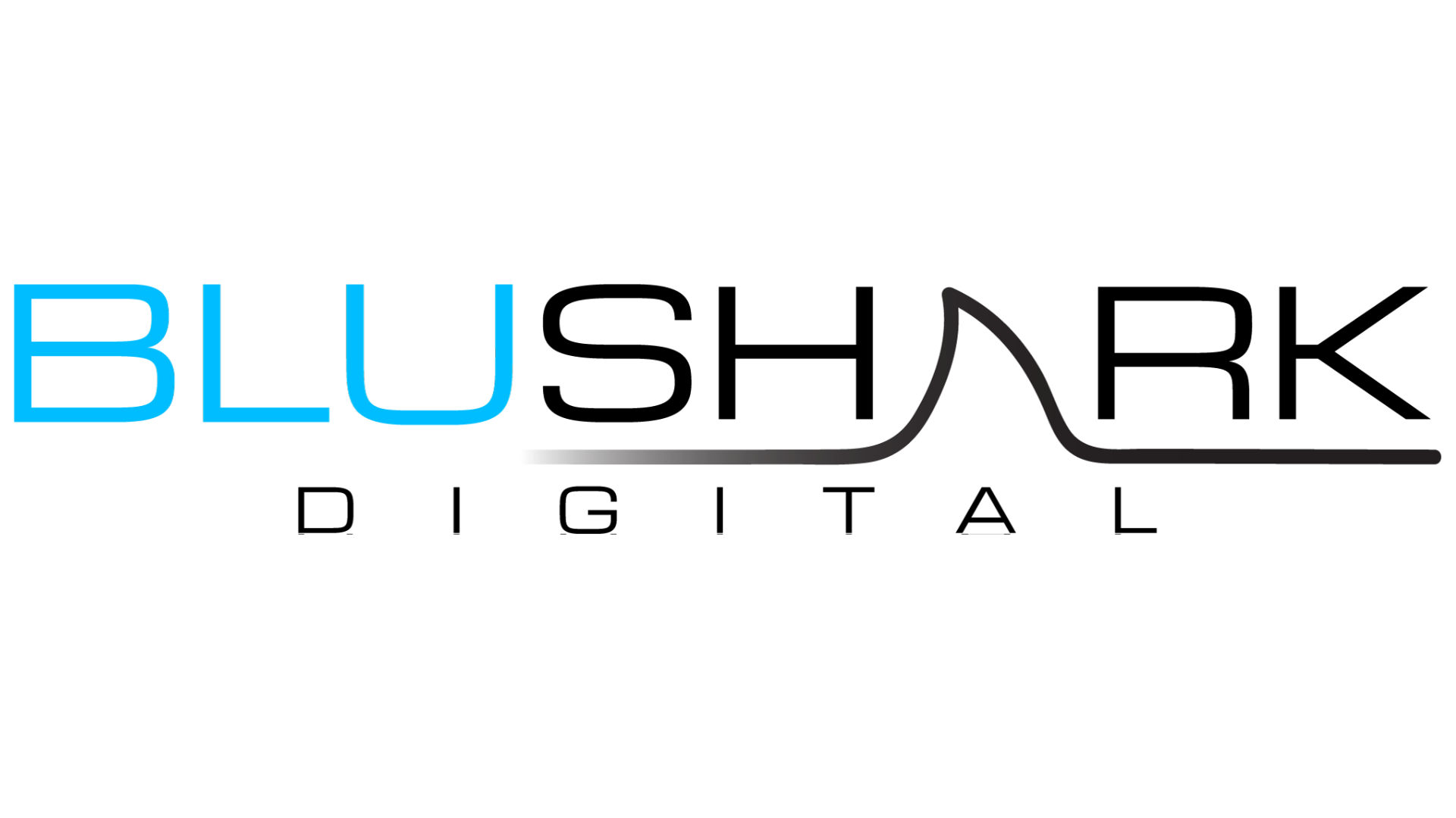 National Law Review Names BluShark Digital #2 Legal Marketing Agency for Lawyers & Law Firms