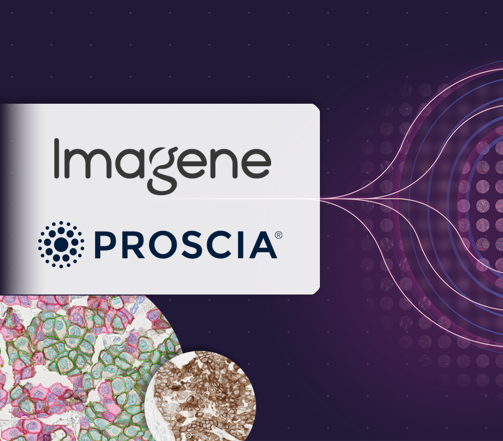 Imagene AI Joins Proscia Ready Partner Alliance to Advance AI-Powered IHC Companion Diagnostics Development
