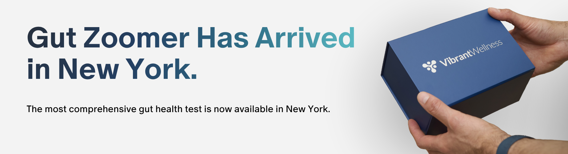 Vibrant Wellness Brings the Most Comprehensive Gut Health Test to New York