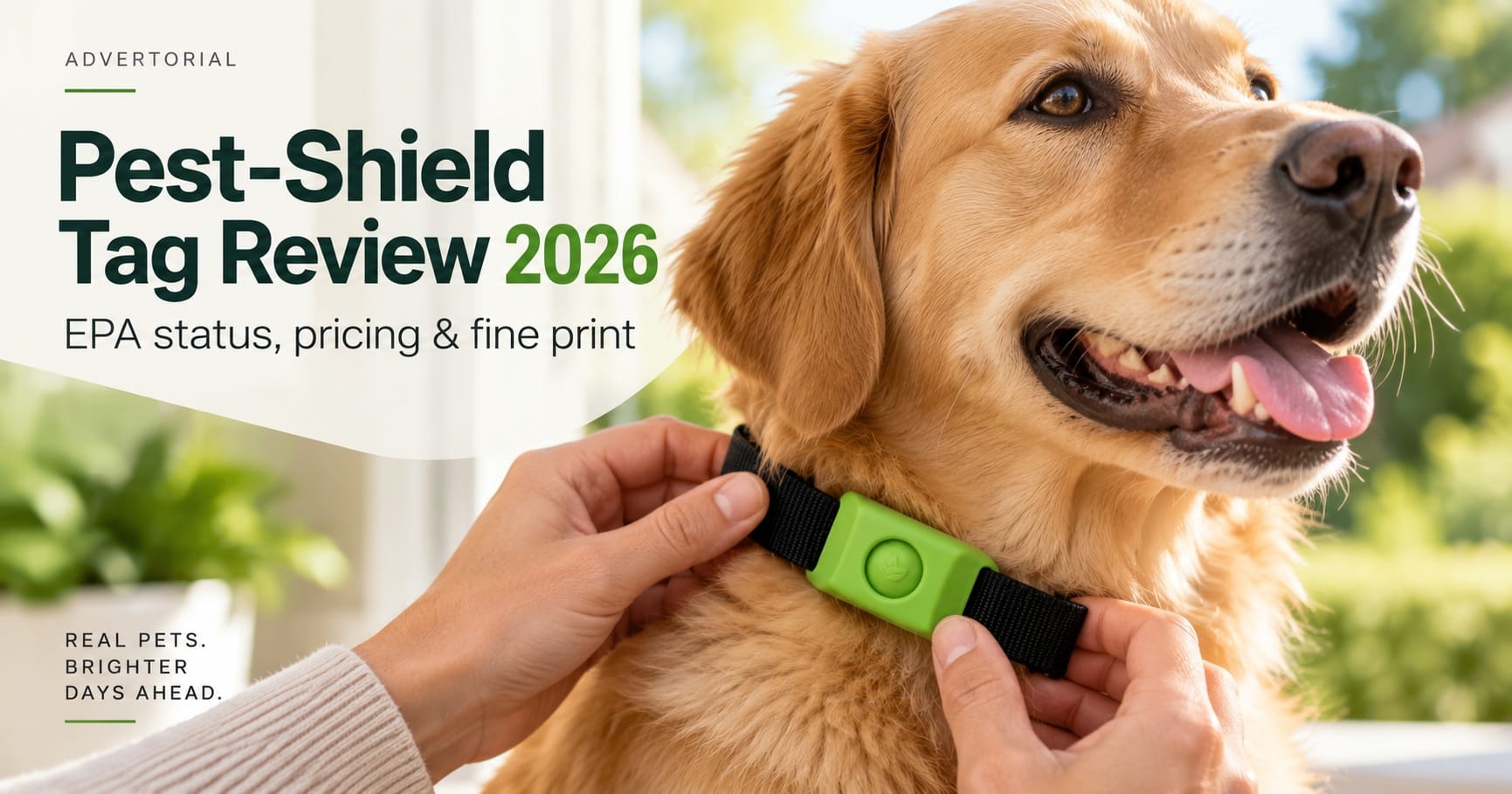 Pest-Shield Tag Reviews 2026: Tired of Monthly Flea-and-Tick Routines? What Pet Owners Should Verify Before Ordering