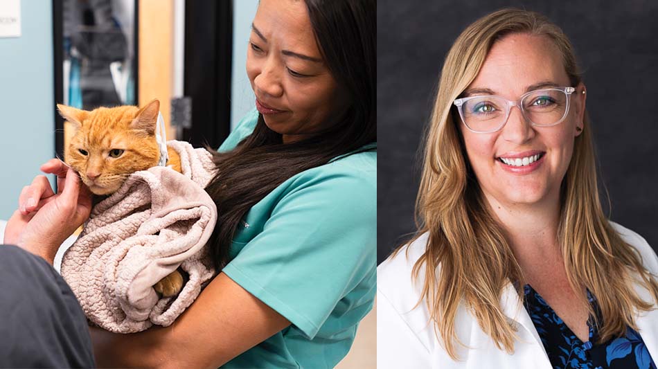 Veterinary Referral Center of Central Oregon Advances Neurosurgery Capabilities and Expands Specialty Team