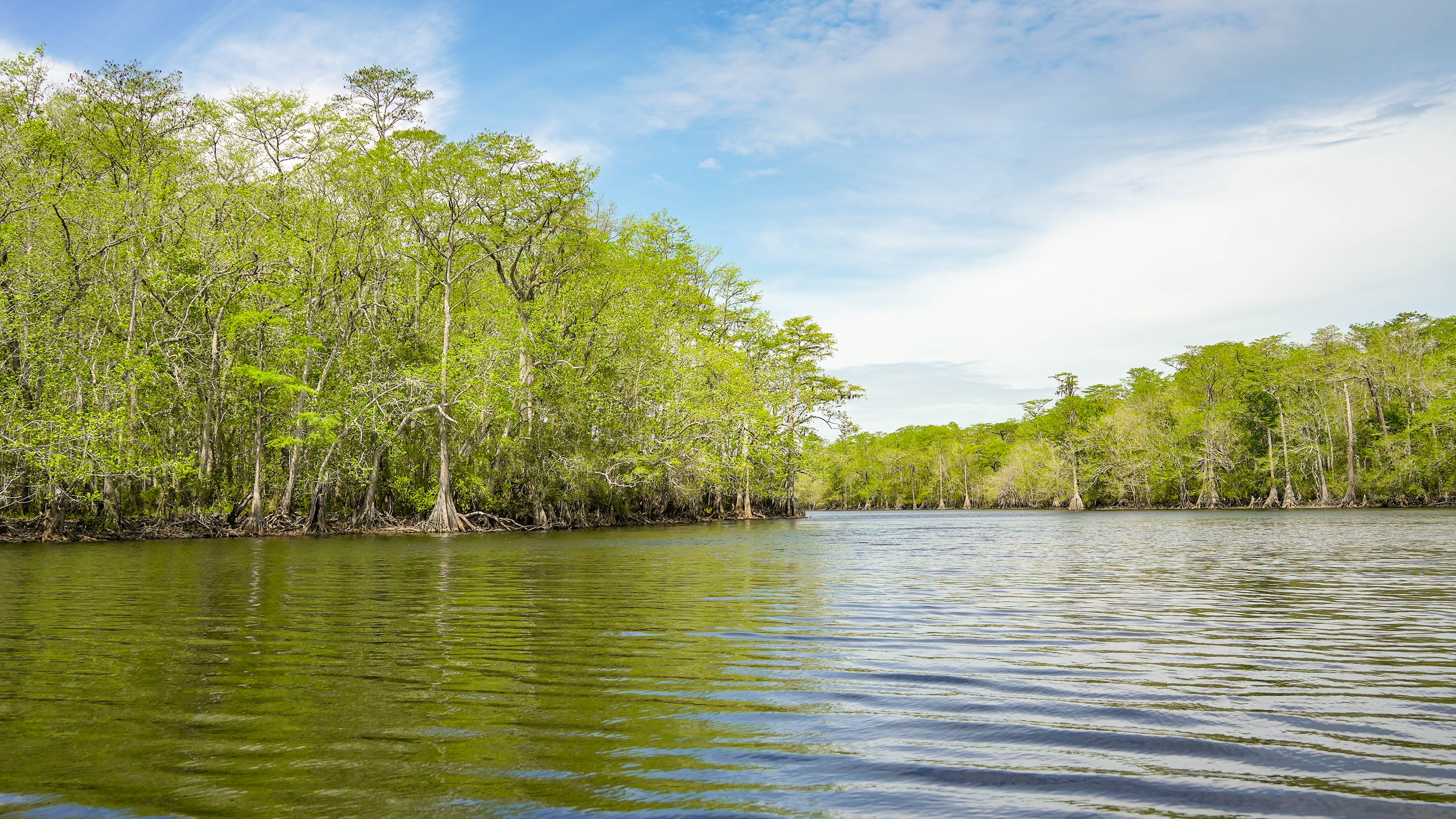 New Otter Creek Preserve Community Brings Dockable Waterfront Acreage and Direct Gulf Access Near Panama City Beach
