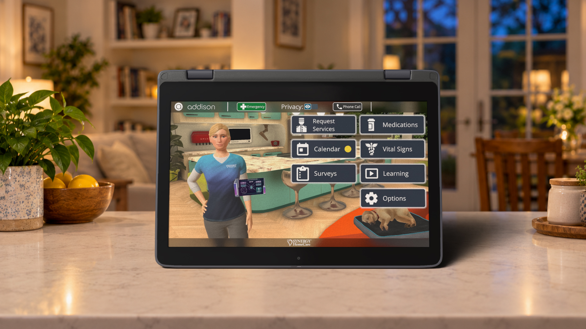 HOME CARE BEYOND THE VISIT Addison Care Helps Home Care Agencies Expand Into Up to 50% More Addressable Market - While Putting Their Brand in the Home 24/7