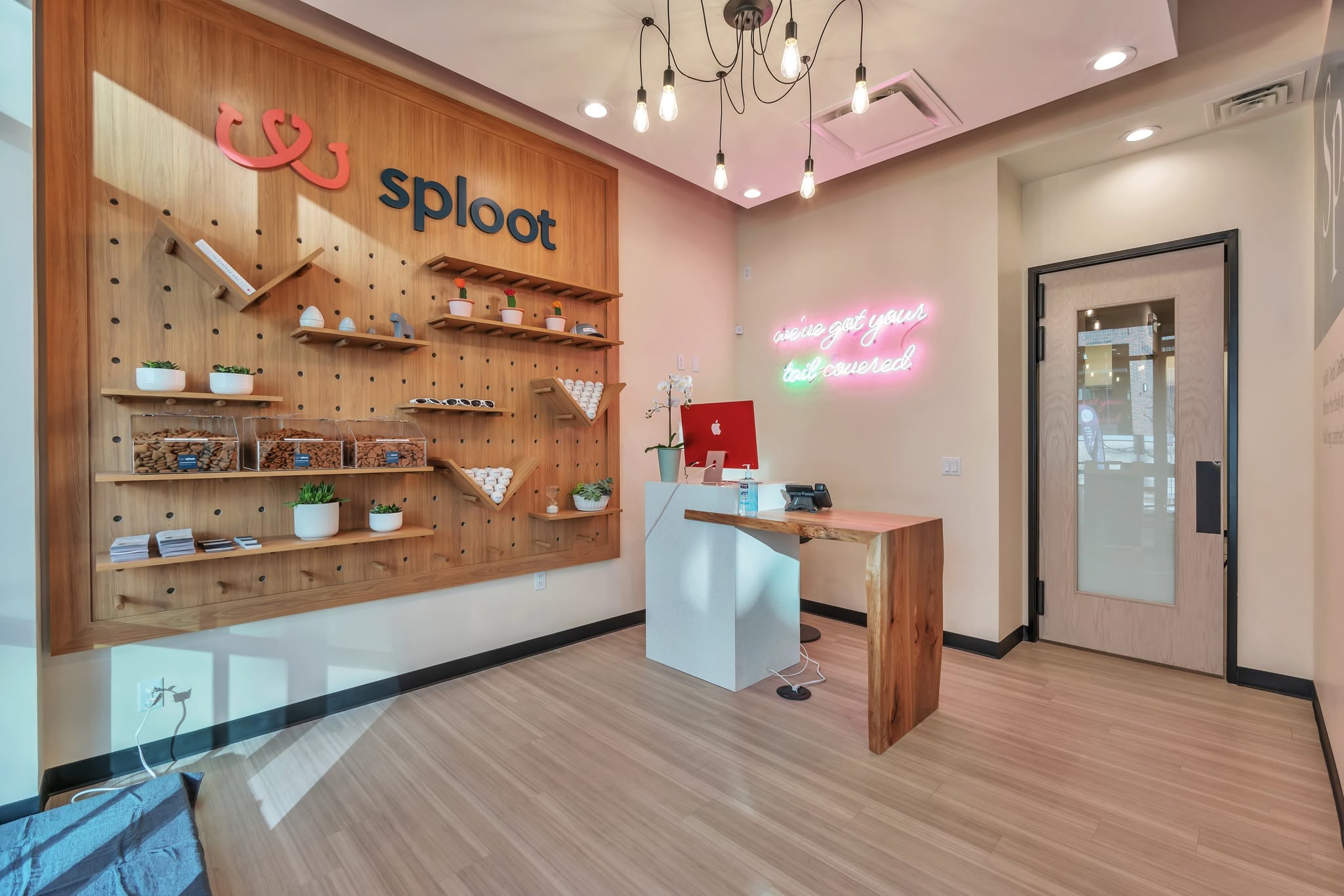 Denver-Based Veterinarian Clinic Sploot Opens New Front Range Locations, Expanding Access Across Colorado