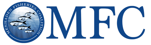 Maryland Survey Finds Strongest Four-Year Run of Juvenile Menhaden Abundance in Over 30 Years