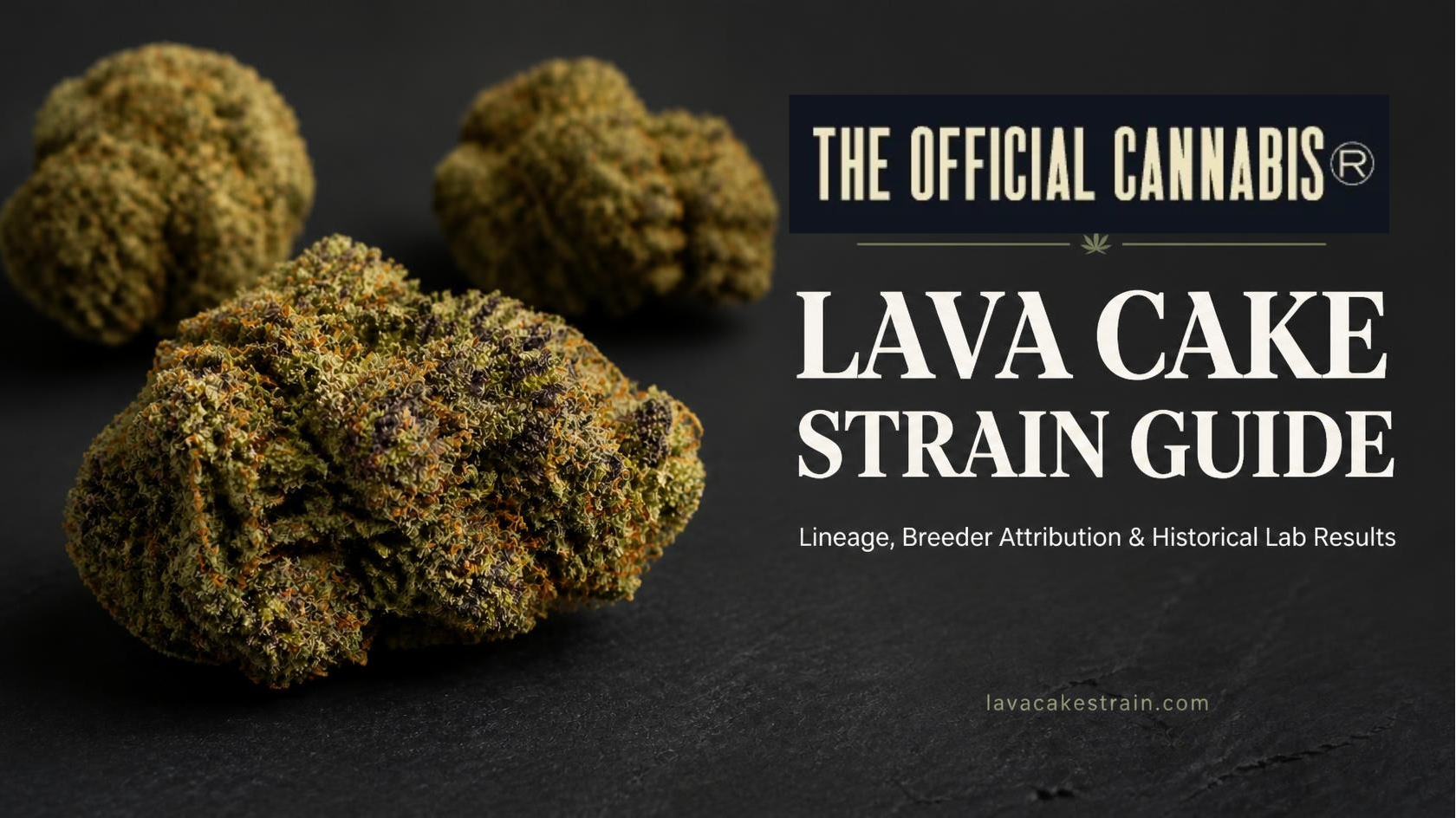 Lava Cake Strain Guide Examines Breeder Attribution, Lineage and Historical Lab Results