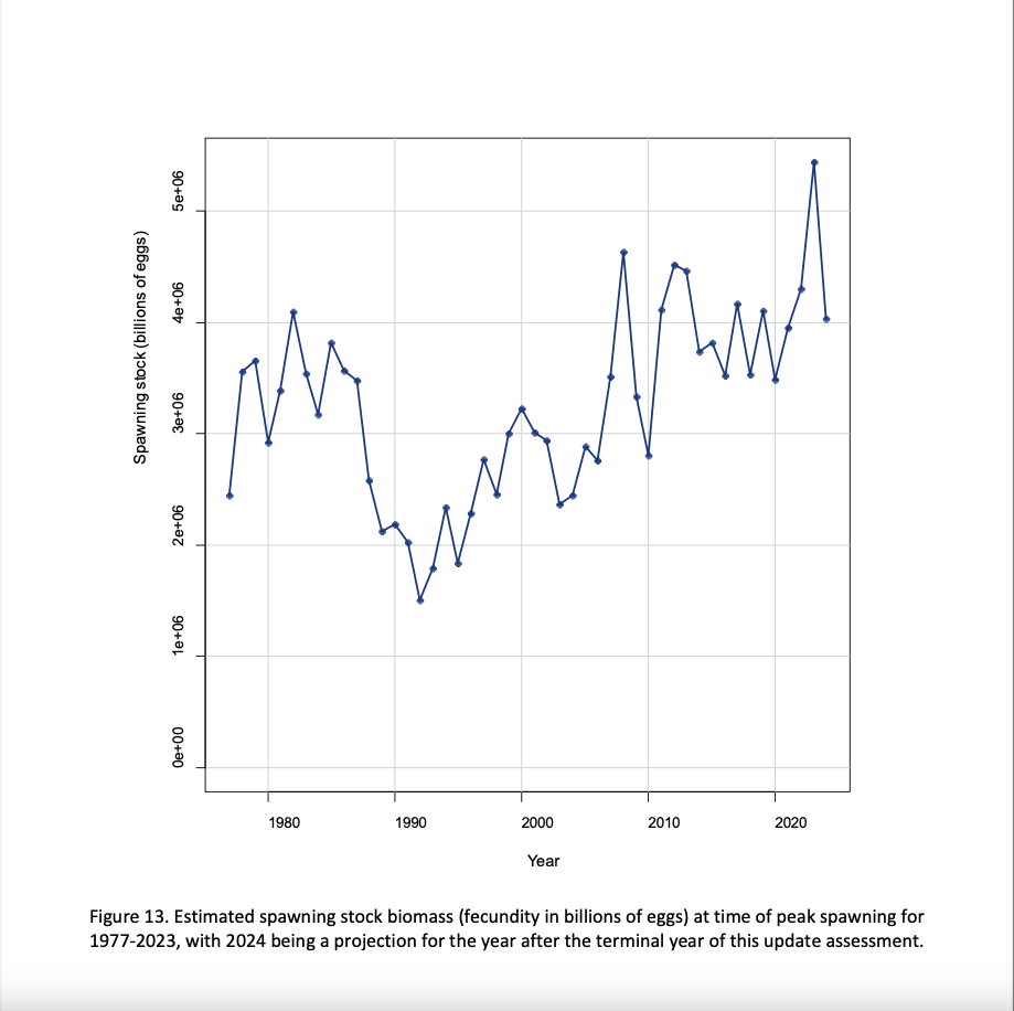 Gulf Menhaden Population Confirmed Healthy