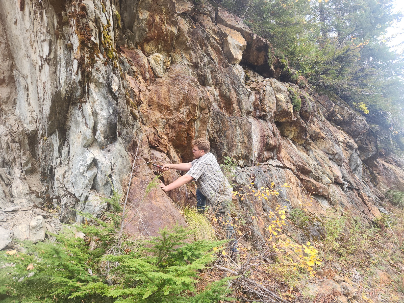 Taranis Resources Inc. Announces Private Placement