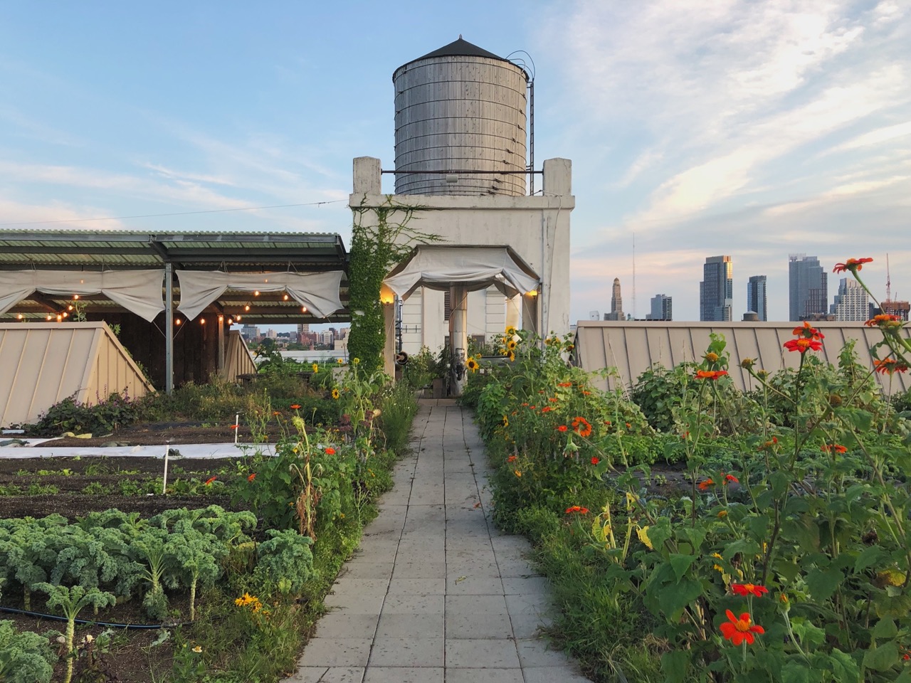 Brooklyn Grange Appoints New CEO, Sam Murray