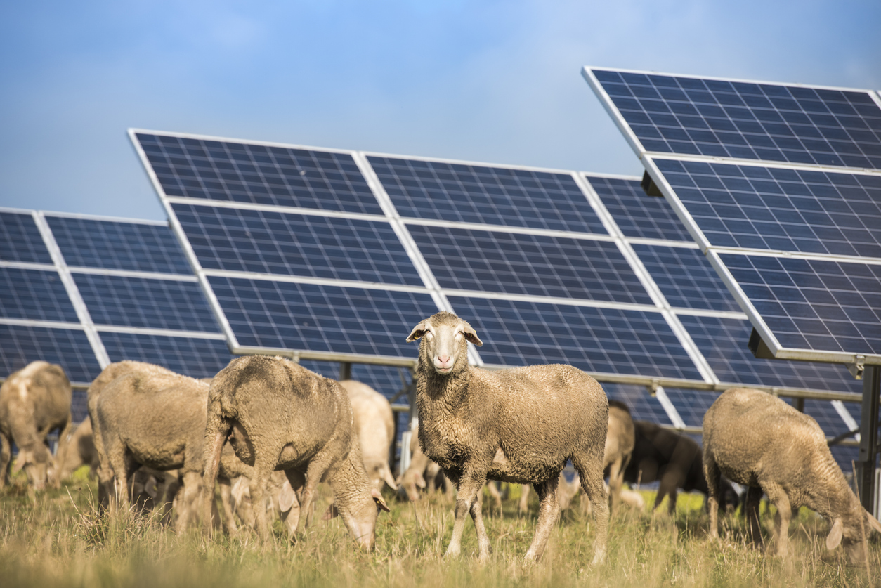 Lithium Corporation Expands Scope to Evaluating Opportunities in Renewable Energy Generation and Energy Storage 