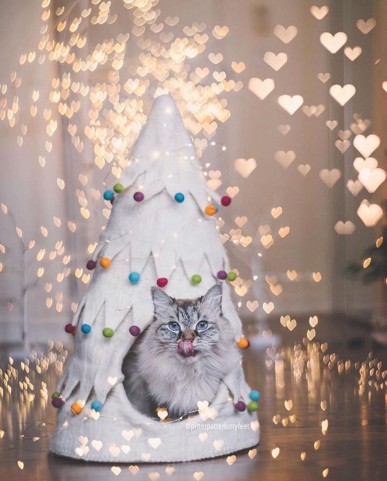 APPA Unveils 2024 Pets Add Life Holiday Gift Guide: Celebrating the Joy of Pets