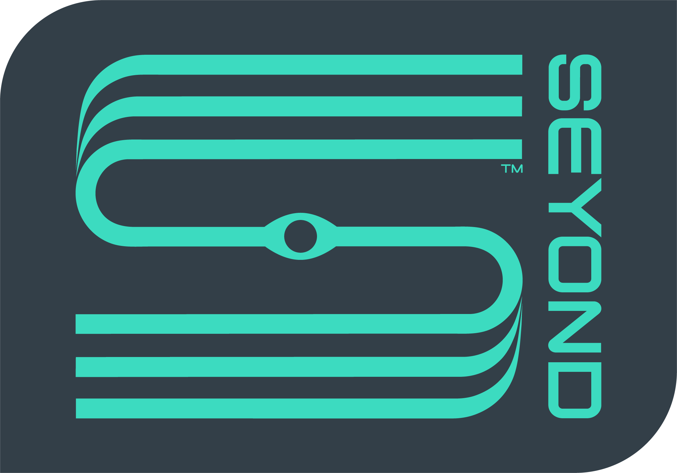 Seyond Announces Plan to Go Public via De-SPAC Transaction on Hong Kong Stock Exchange 