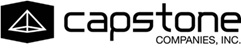 Capstone Companies, Inc. announces Execution of Binding Letter of Intent with eBliss Global, Inc.