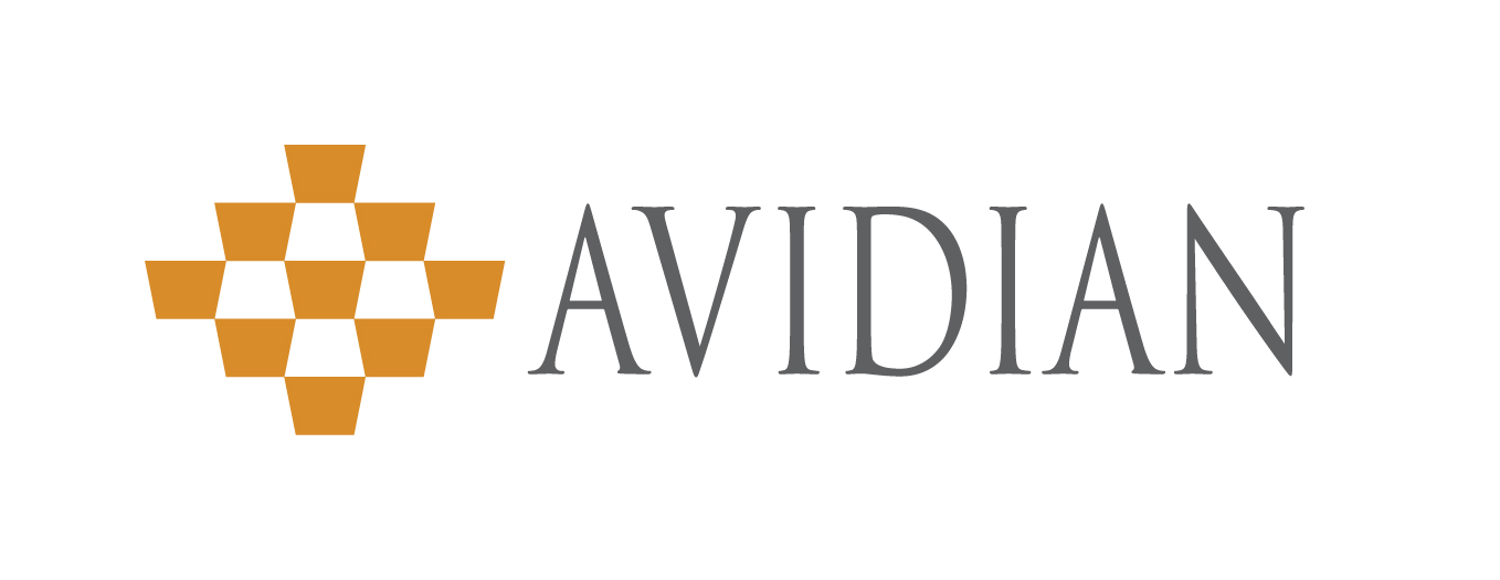 Avidian Provides Corporate Activities Update and Announces Grant of Stock Options