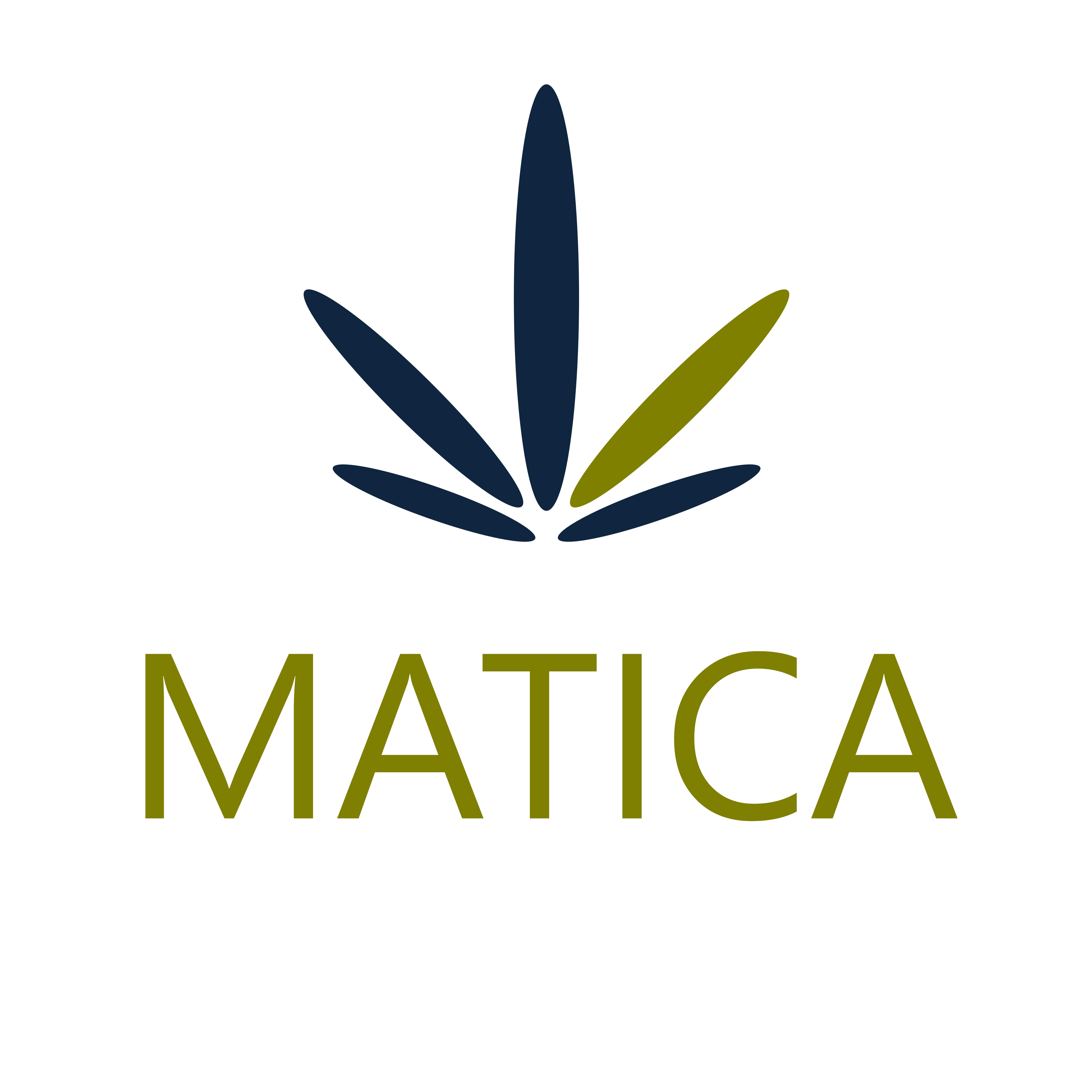 Matica Announces Delayed Filing of Annual Disclosure Documents Pursuant to OSC Blanket Instrument 51-502