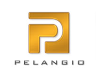 Pelangio Exploration Inc. 