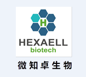 Hexaell Announces NMPA (National Medical Products Administration, China) Clearance of Investigational New Drug (IND) Application for HepaCure Biocolumn, a Bioartificial Liver using Novel Cell Transdifferentiation Technology for the Treatment of Acute Liver Failure