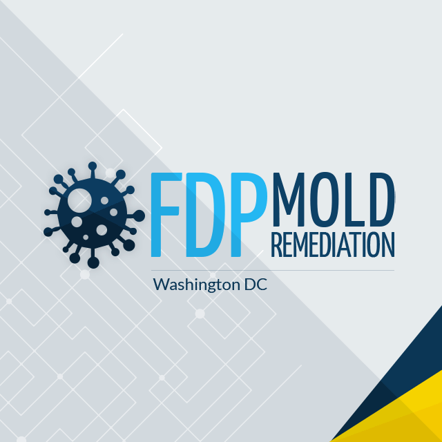 FDP Mold Remediation, a Mold Removal Company, is Now Providing Mold Testing Services