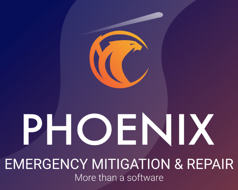 Phoenix Solutions Announces Partnership with AiME