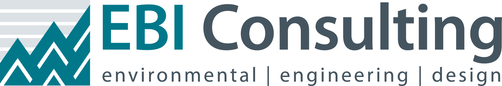EBI Consulting Appoints Nolan and Jeffrey Previte as Co-CEOs