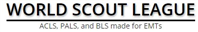 Bitcoin Run is The World Scout League Commission’s Newest Project for Charity