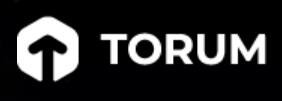 Torum Completed the World's First Initial Staking NFT Offering in Less than 20 Minutes