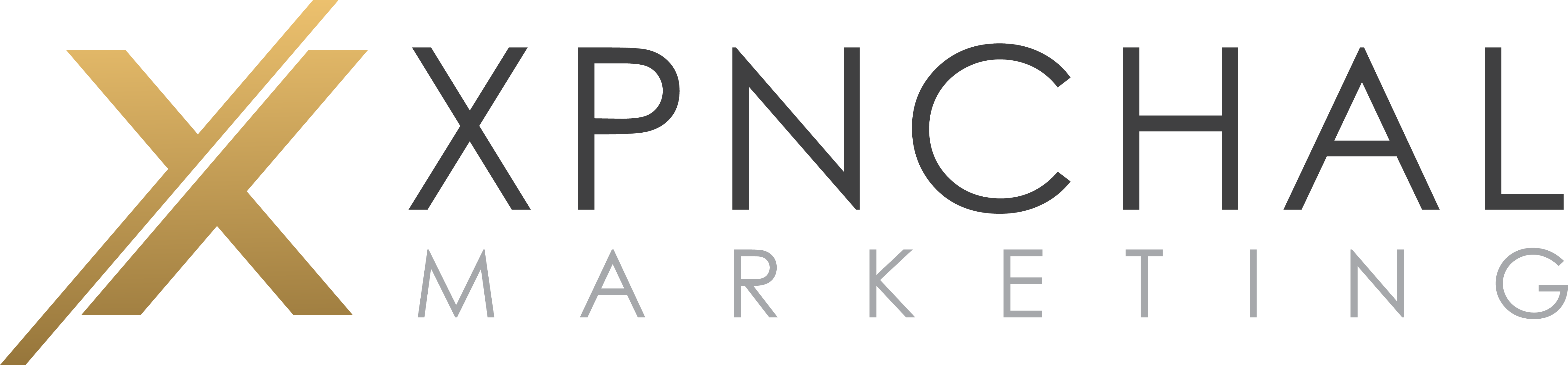 Digital Marketing Agency Xpnchal Marketing Announces the Launch of New Services