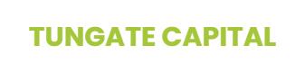 Tungate Introduces the System Avoiding Online Frauds