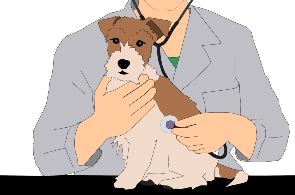 BarxBuddy Announces that a New In-House Veterinarian Has Been Added to the Team