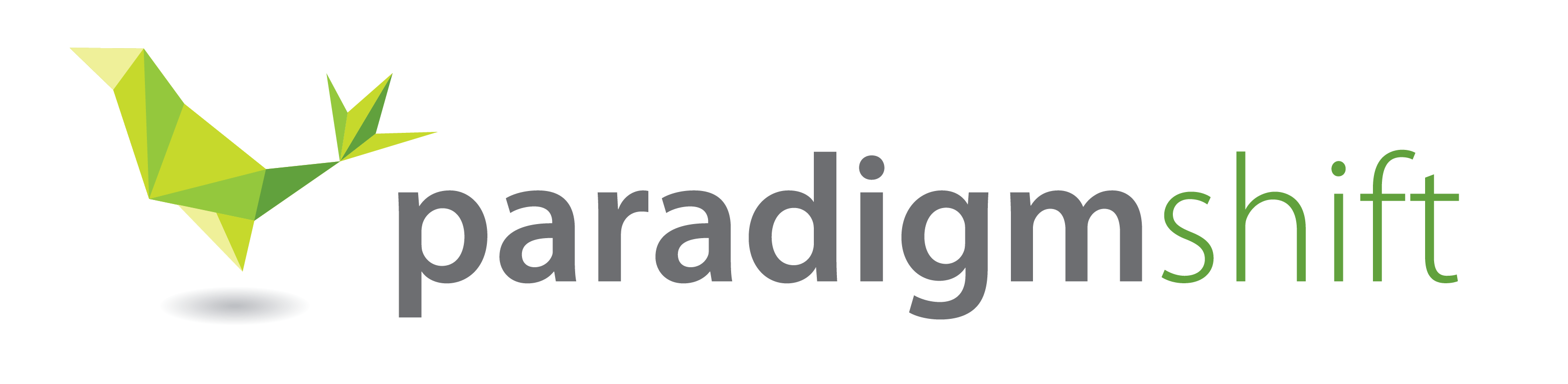 Paradigm Shift Empowers Others Through Experiential Learning and Innovative Custom Leadership Training