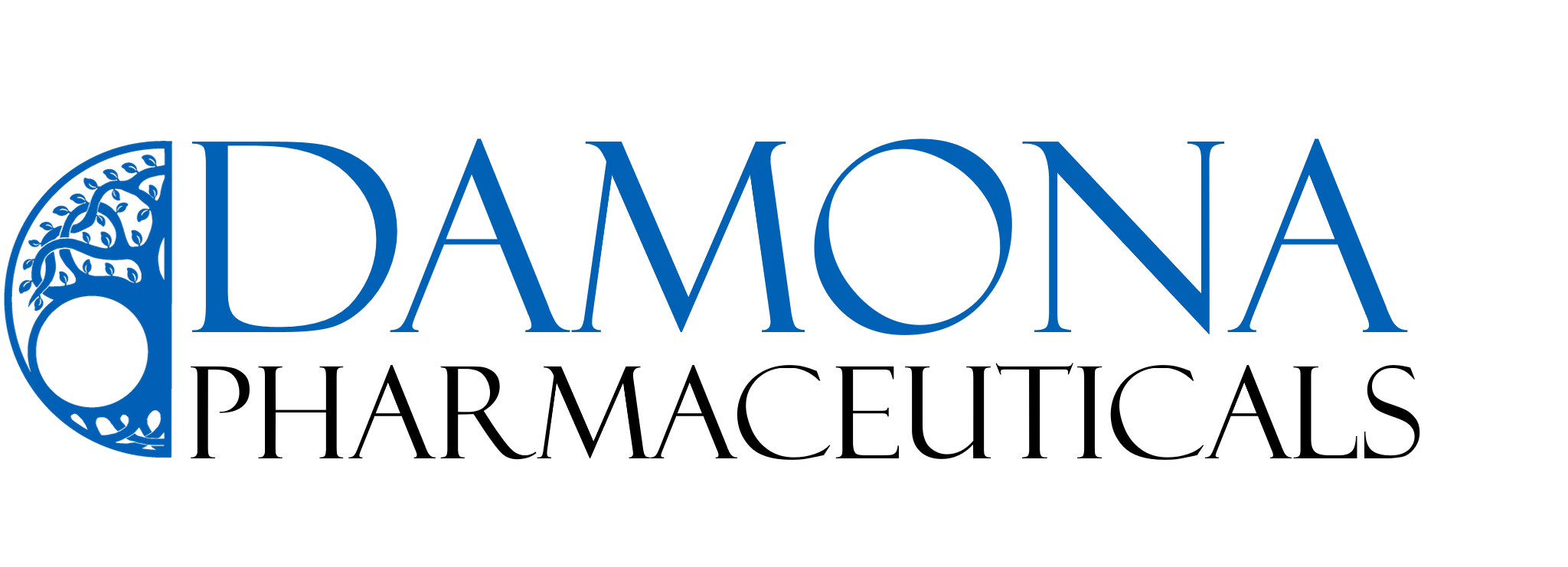 DAMONA Pharmaceuticals Raises US$5.5 Million Seed Stage Financing to Advance Lead Molecule Development to Treat Cognitive Deficits Associated with Depression and Diseases of Aging