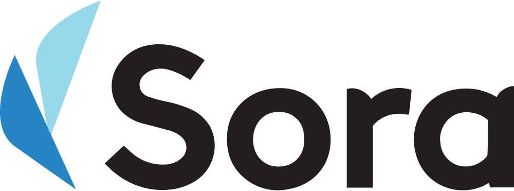 Sora Finance Raises $3.9M to Offer Credit Management as a Service to Financial Advisors and Employers