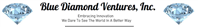 Blue Diamond Ventures, Inc. Wholly Owned Subsidiary Clean 1st LLC Begins Successful Implementation of Its Strategic Plan