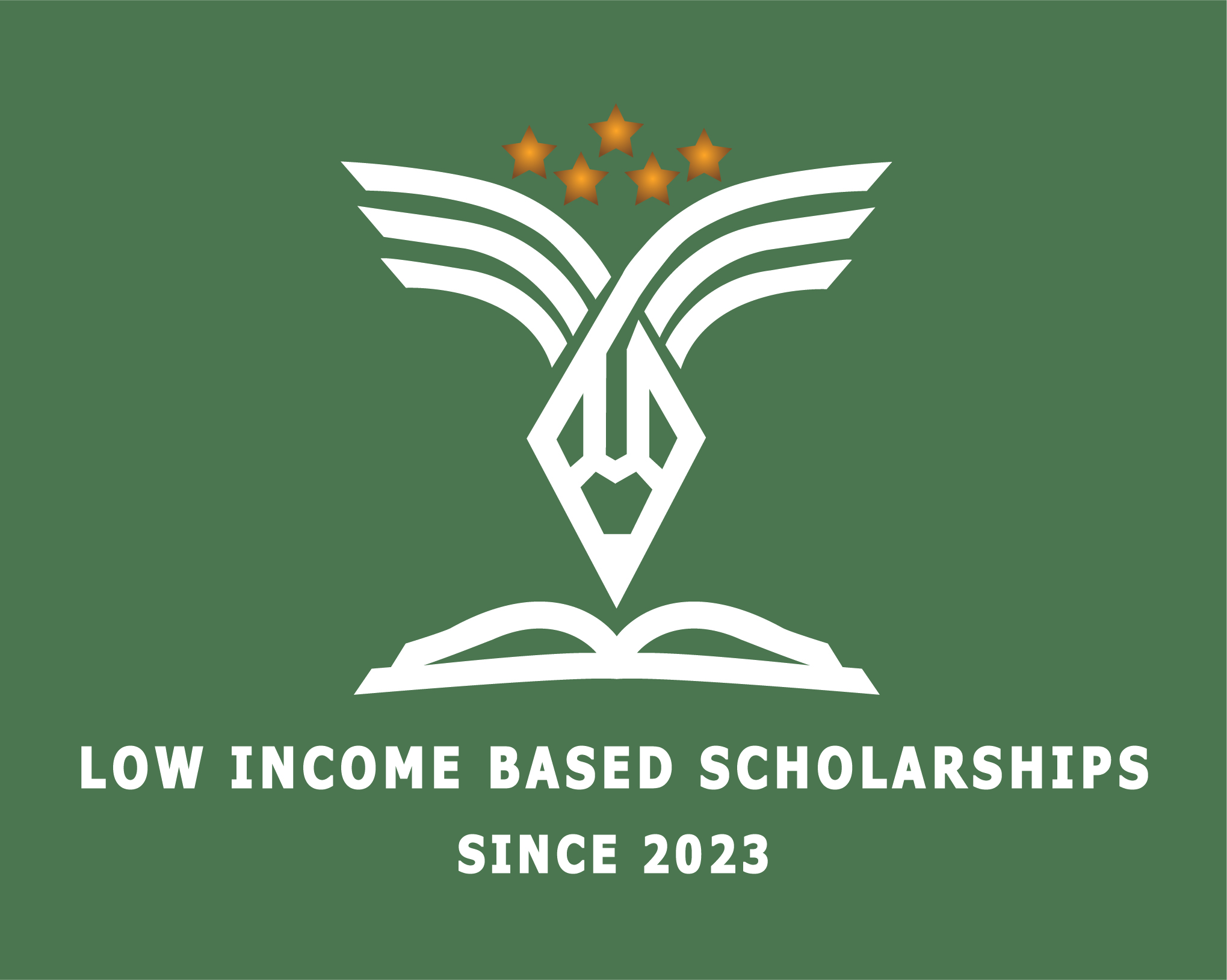 There's a New Kid in Arizona's School Tuition Organizations - Community Reinvestment: Low Income Based Scholarships