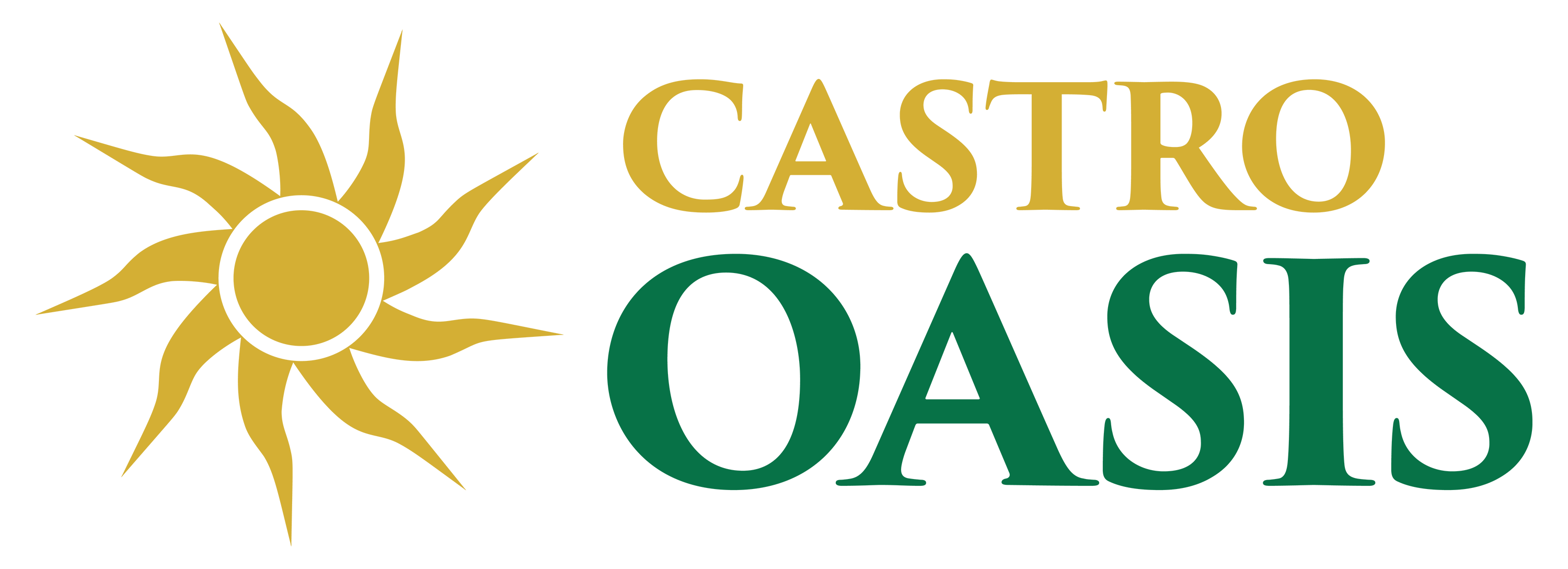 Castro Oasis Embraces the American Car Dream