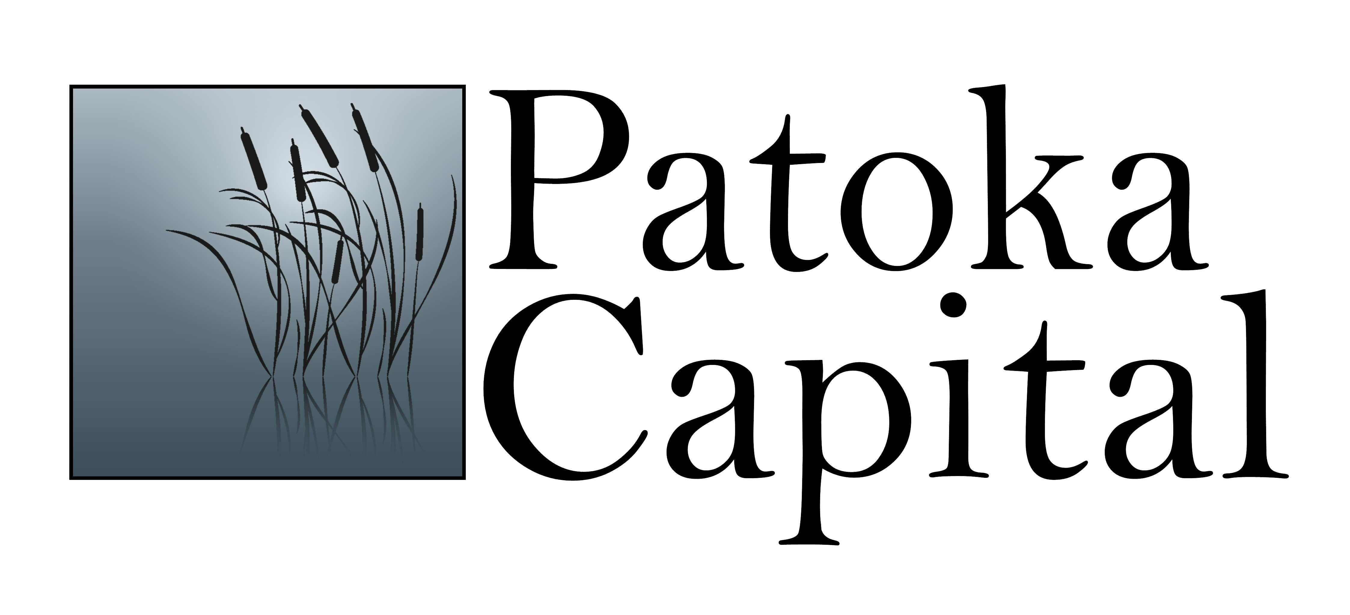 Patoka Capital Completes Sale of Portfolio Company, Cyber Sciences