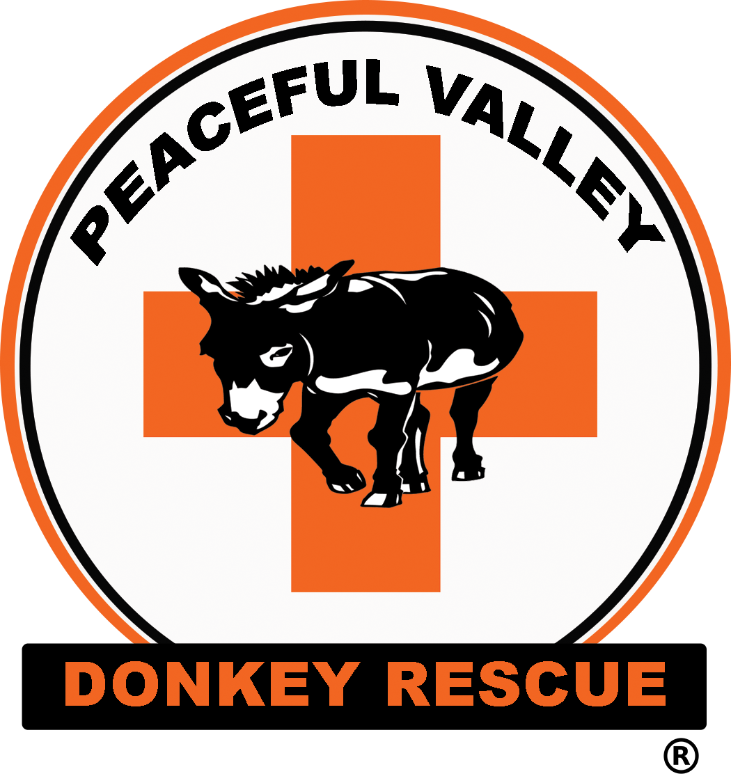 3,000 Wild Donkeys Headed to the Peaceful Valley Donkey Rescue