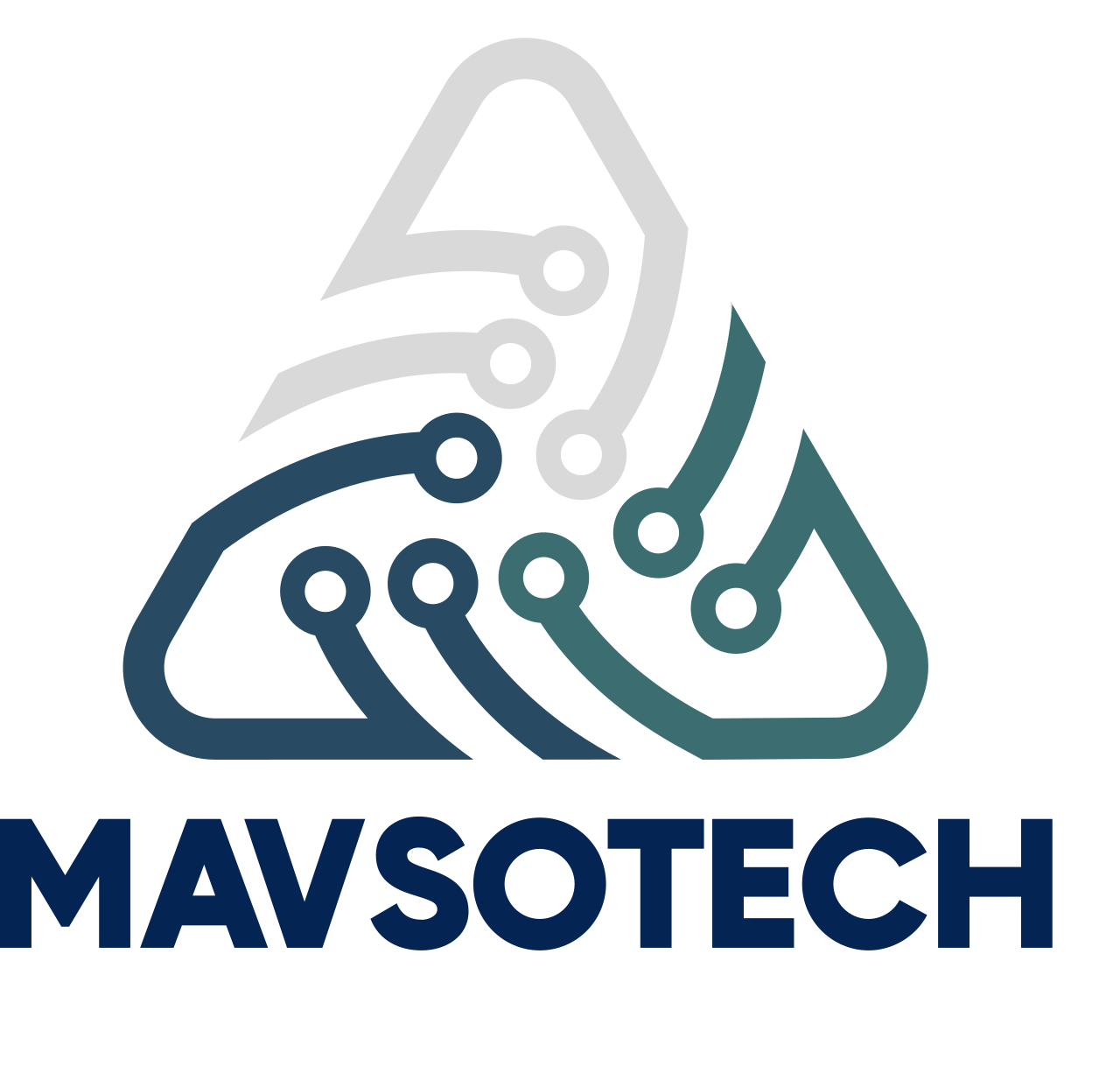 Introducing Mavsotech: Bringing Domain Expertise to Software and Hardware Services for Target Markets