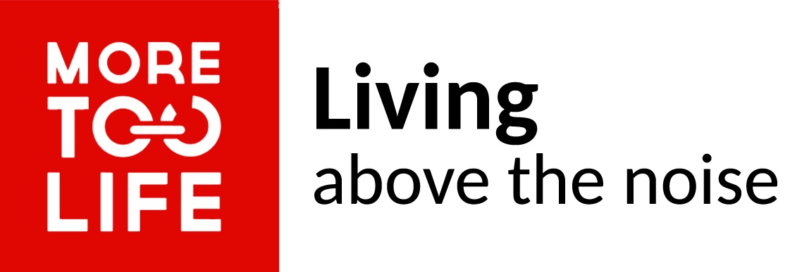 More Too Life Foundation Plays Instrumental Role in Human Trafficking Bust