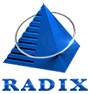 Radixweb Accelerates Global Presence With New Office in Frisco, US