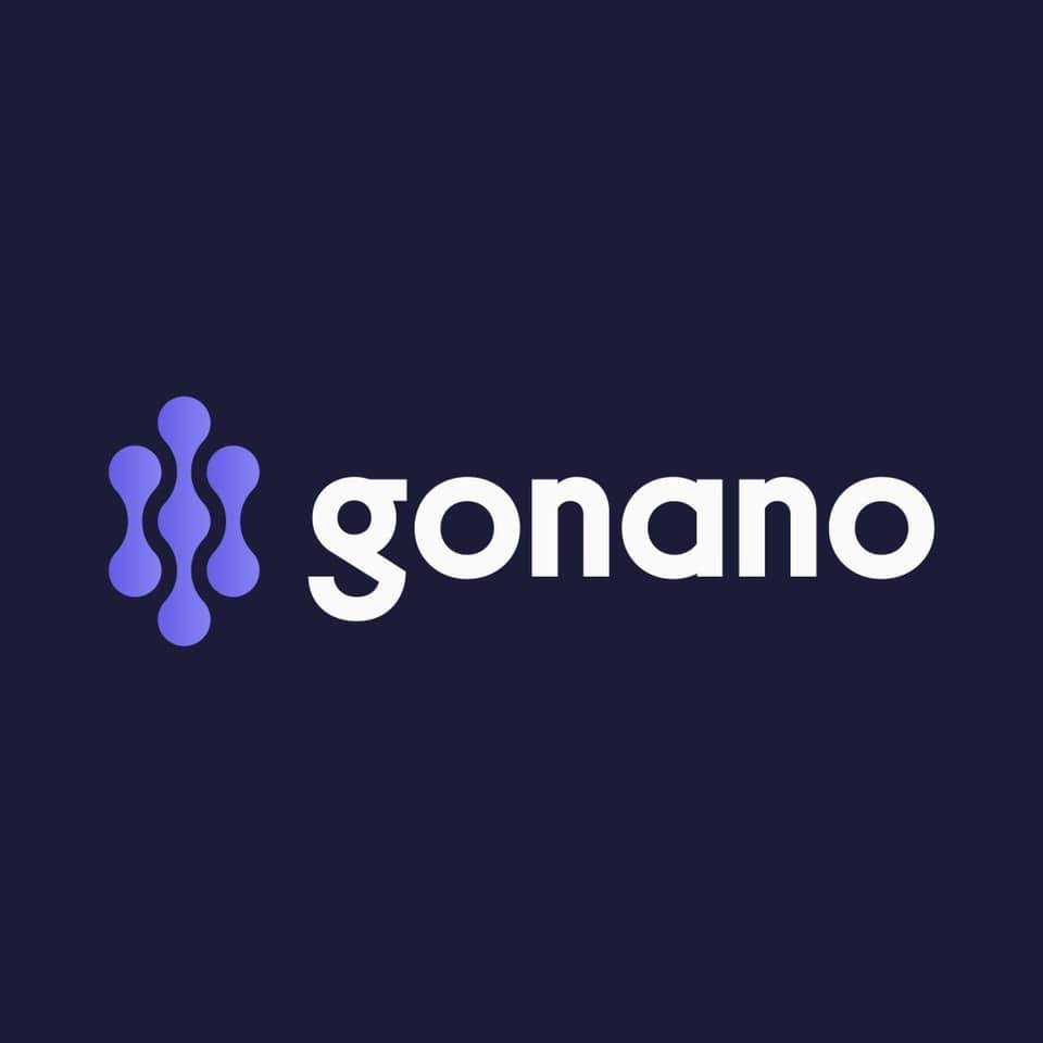 GoNano Unveils Revolutionary Affordable Roofing System