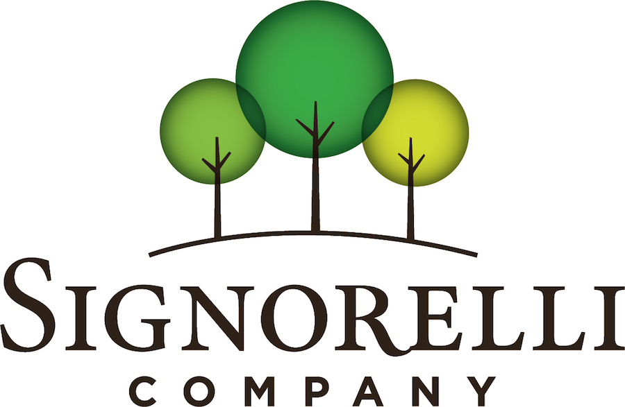 The Signorelli Company Commences Phase One of Austin Point, the Next Great Texas Town
