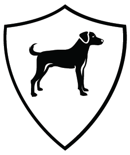 Game-Changer: Jack Labrador Unveils Multidimensional Evolution of Classic Rock, Paper, Scissors