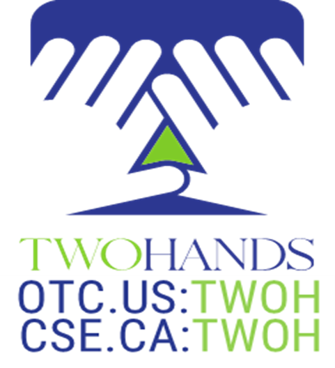 Two Hands Corporation: Elevating Canada's Micro Merchant Wholesaler Landscape