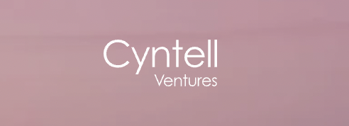 Cyntell Ventures announces successful completion of its NOLA project