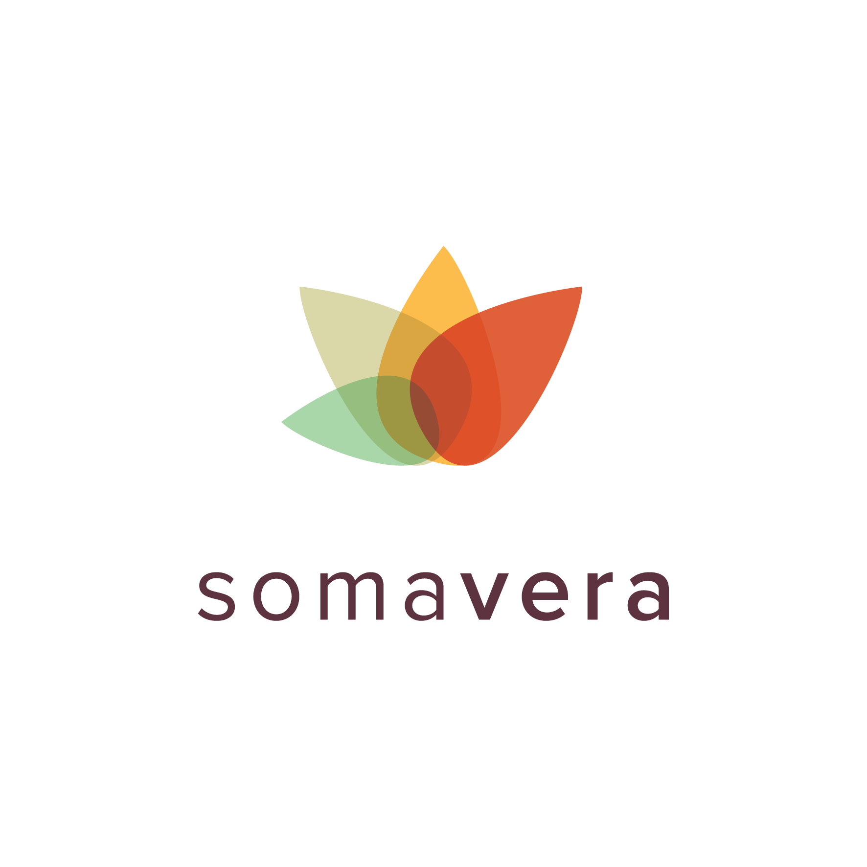 Somavera Sets New Standards for Precision Nutrition With Smart Multivitamins